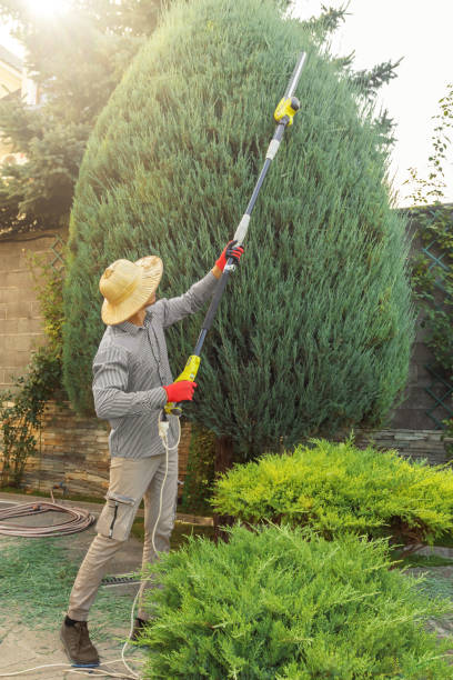 Thompsonville, PA Tree Removal and Landscaping Services Company